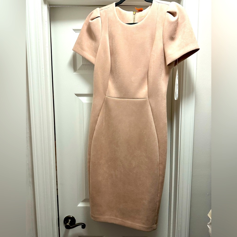Calvin Klein Sheath Dress